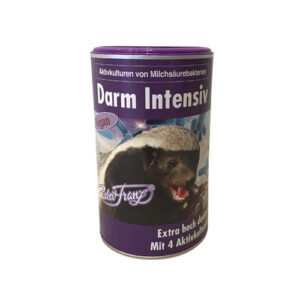 Darm Intensiv