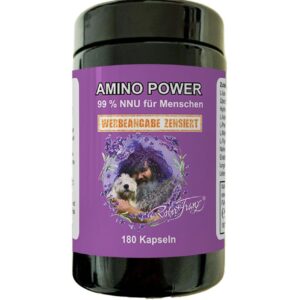 Amino Power Kapseln